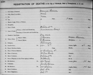 Samuel Broida death record, 02 Oct 1891, Pittsburgh, Pennsylvania