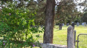 Weidner Robinson Cemetery, Newton, Catawba County, North Carolina