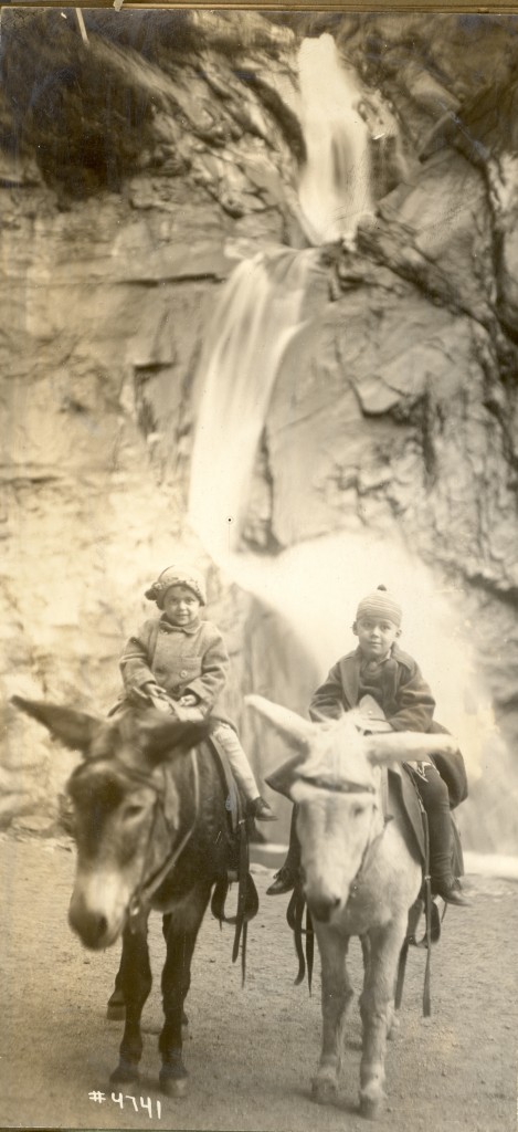 Unknown children on the trail with donkeys, probably in Colorado circa 1920.