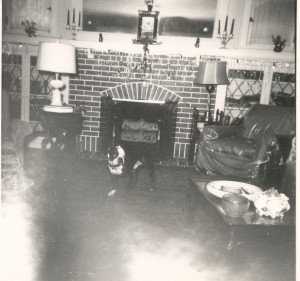 Interior of Lee home at 6204 Alamo, St. Louis, Missouri. The clock on the mantel is still in the family, and the favorite dog in the picture is Mickey.