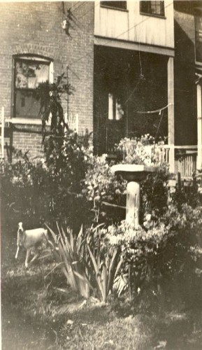 The garden of Gerard William Helbling, August 1934. Family photo album.