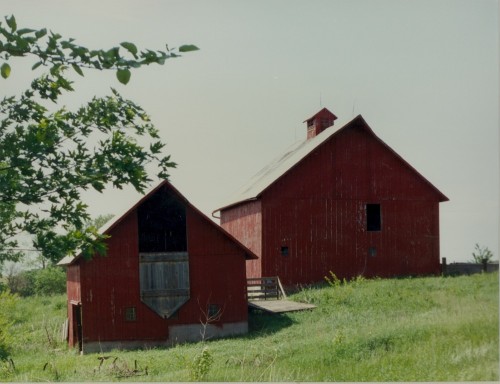 Barns on the Old Homeplace in Jasper County, Iowa, circa 1996.