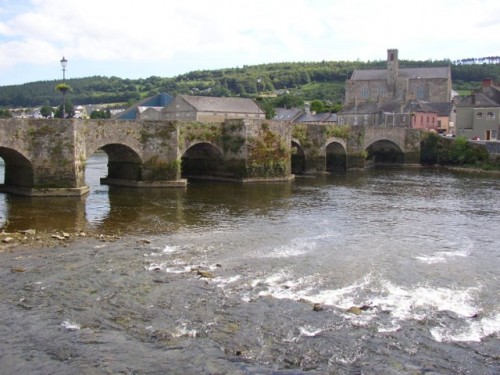 Old bridge at Carrick-on-Suir, via Wikimedia. (Click to enlarge.)