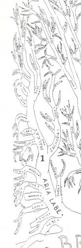 1954 Broida Family Tree by Leonard Broida- The Aria Labe Branch.