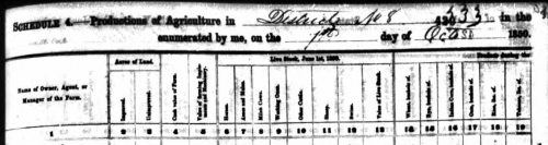1850 Agriculture Schedule for Wiley A. Murrell, part 1. Ancestry.com