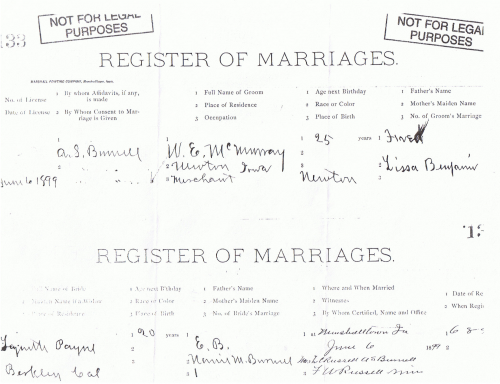 Marriage license of Will and Lynette Payne, 6 June 1899.